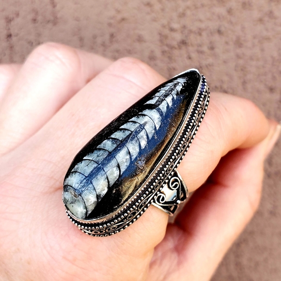 New Huge Orthoceras Fossil 925 Silver Ring. - Picture 7 of 16
